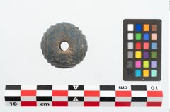 Foto von Glasaugenperle (NHMW-PRAE-026004)